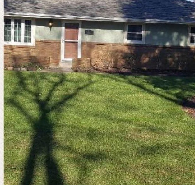 After: the same front lawn, clean and green
