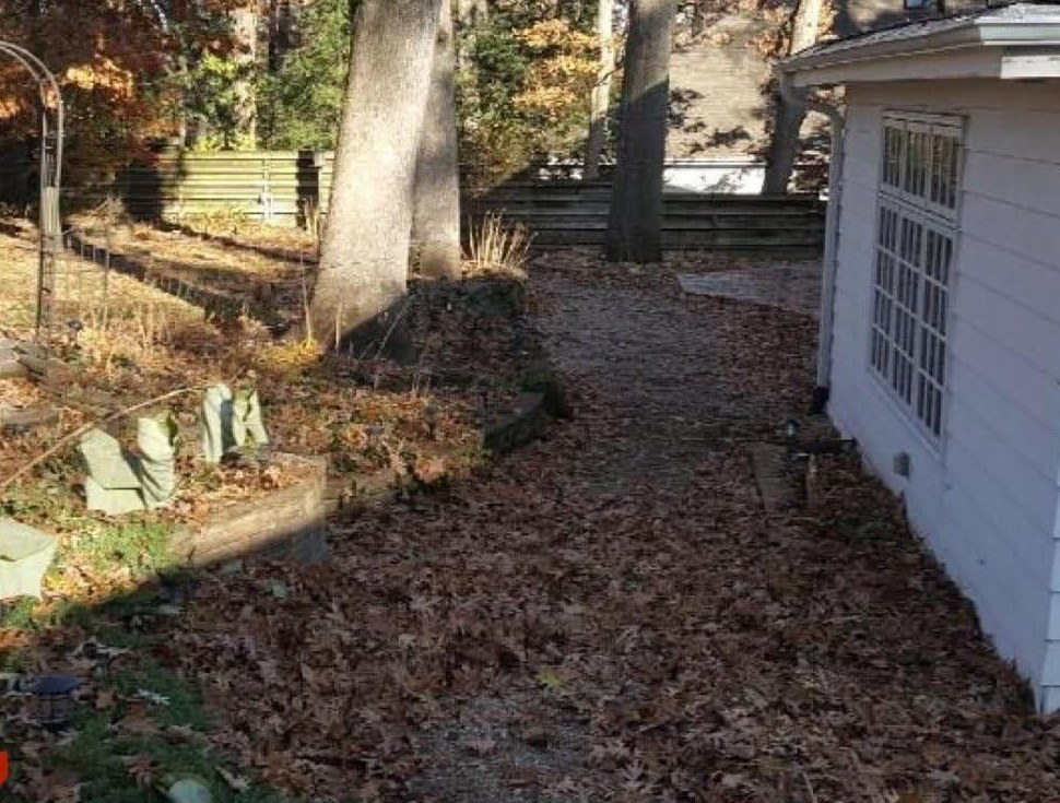 Before: garden path covered in leaves