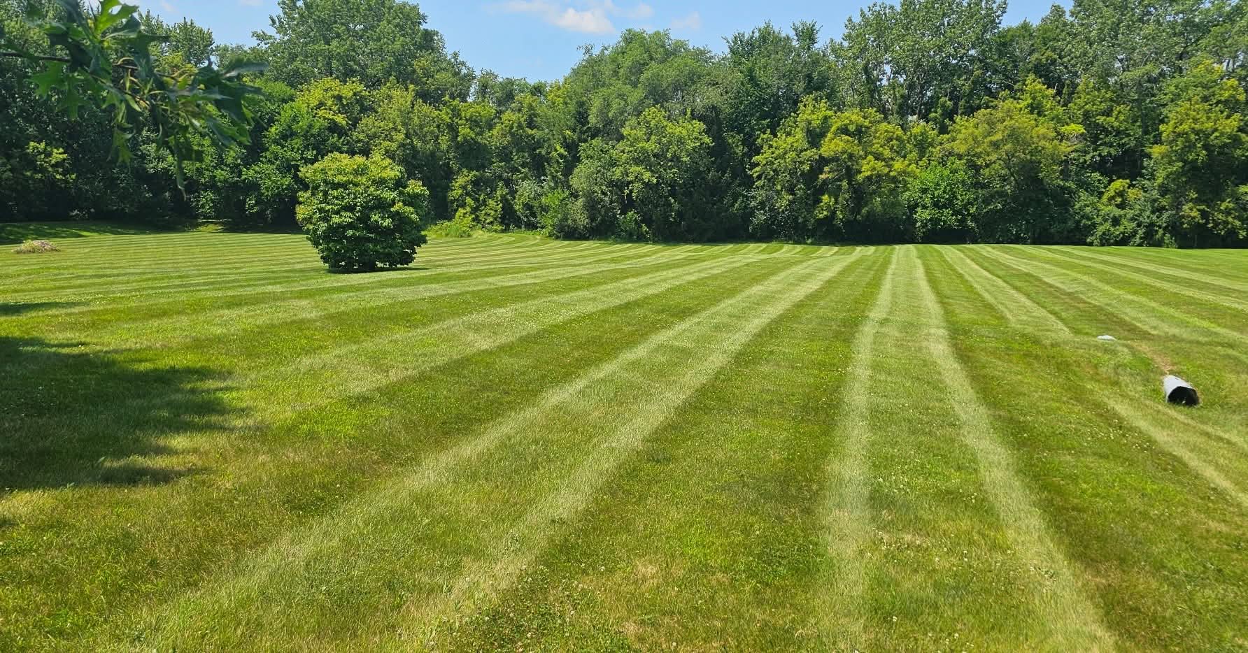 Big striped lawn in front of a brick home