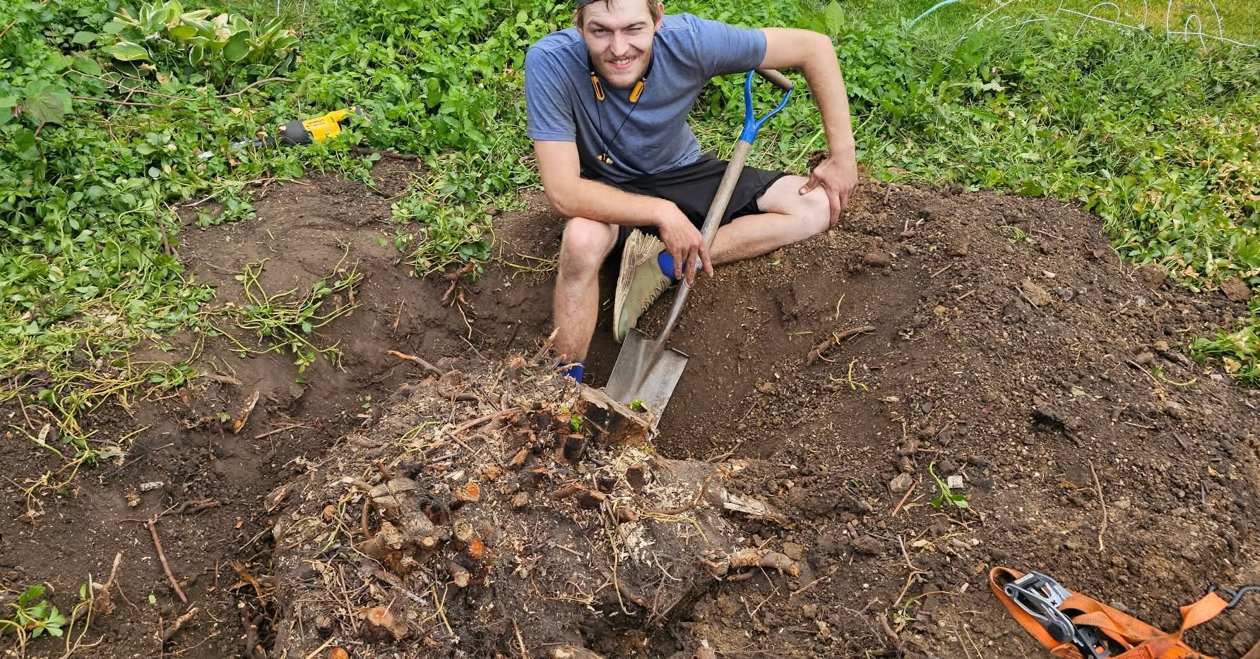 Hands-on stump and planting work on a job, shovel in hand
