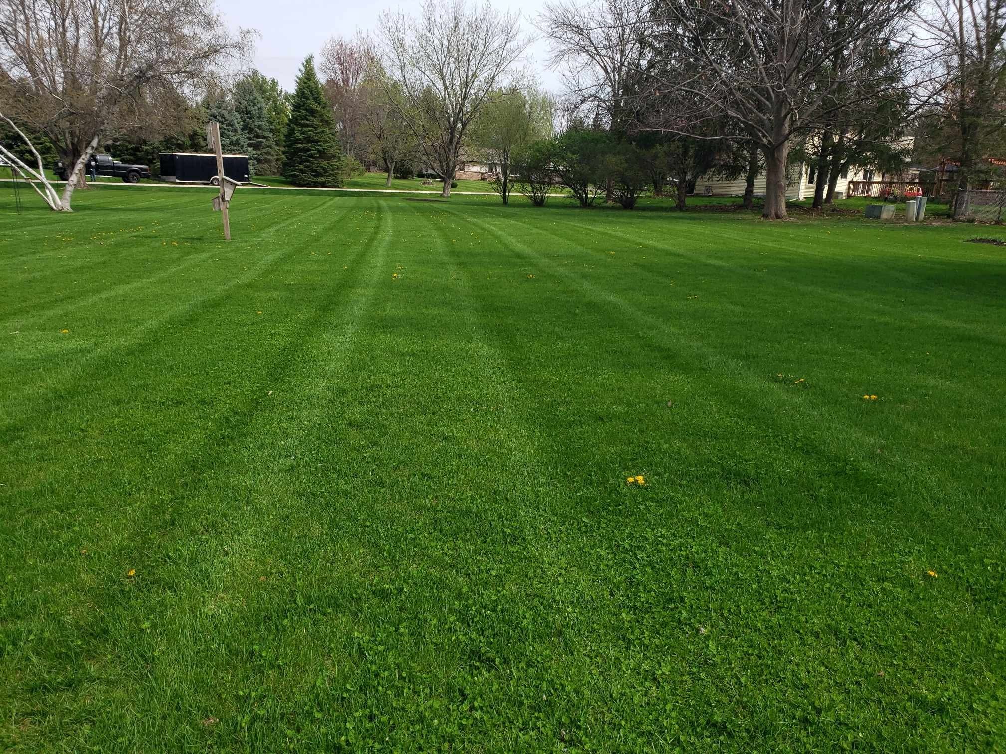 Striped spring lawn with the black truck and enclosed trailer in the back